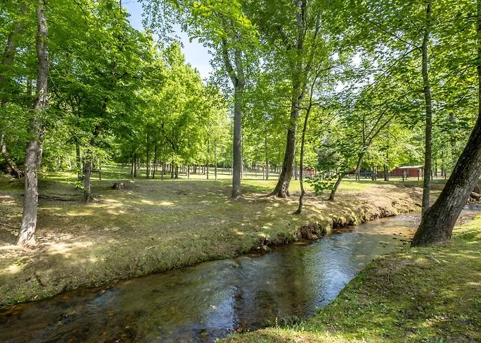 Cobb Creek Cabins Murphy