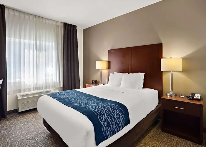 Comfort Inn Lacey - Olympia