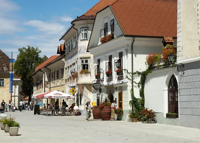 Pension Lectar Radovljica