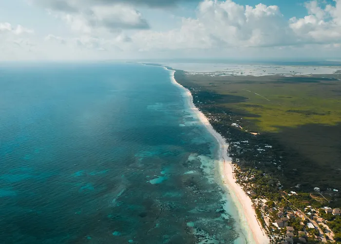 Zamas Hotel Tulum